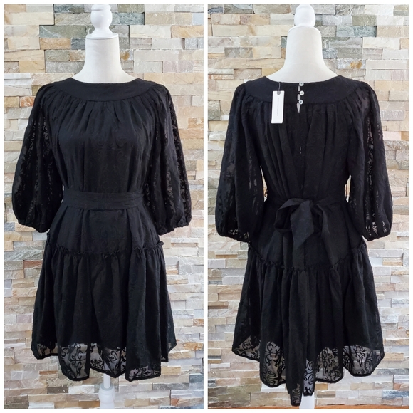 NWT, Anthropologie Astrid Embroidered Black Dress - Picture 3 of 5